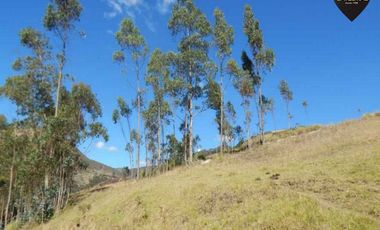 Terreno de venta en Victoria del Portete - Tarqui – código:14470