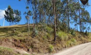 Terreno de venta en Victoria del Portete - Tarqui – código:14470