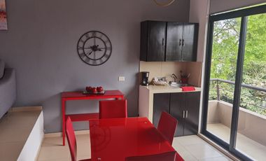 Se renta departamento tipo loft en Xalapa zona Araucarias
