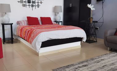 Se renta departamento tipo loft en Xalapa zona Araucarias