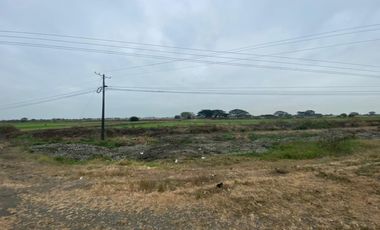 Samborondón la Avenida Miguel Yunes 125000 m2
