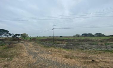 Samborondón la Avenida Miguel Yunes 125000 m2