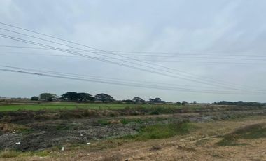 Samborondón la Avenida Miguel Yunes 125000 m2