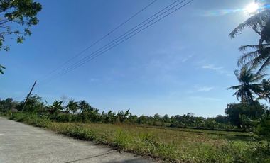 Dujual Tanah Timur Bandara NYIA, Kulonprogo, DIY, 1 Jt-an/m