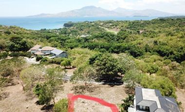 Mango Grove Residence at Anvaya Cove - Ayala Land Premier