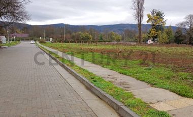 Se venden sitios en La Paz, Loncoche