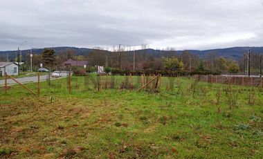 Se venden sitios en La Paz, Loncoche