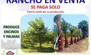 Finca/Rancho en Venta en Cadereyta Jimenez Centro