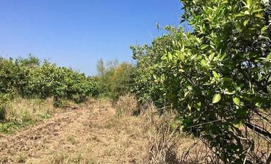 Terreno Campestre en Venta en Montemorelos