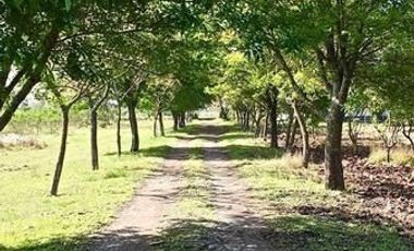 Terreno Campestre en Venta en Montemorelos