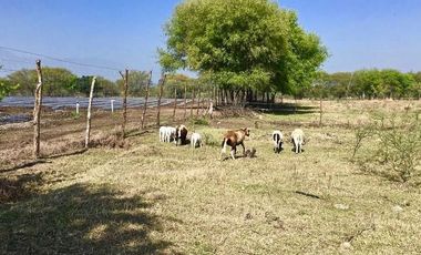 Terreno Campestre en Venta en Montemorelos