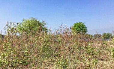 Terreno Campestre en Venta en Montemorelos