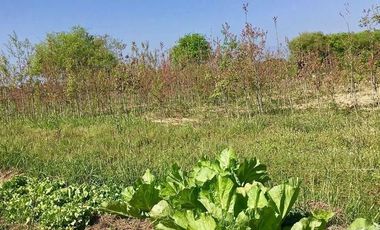 Terreno Campestre en Venta en Montemorelos