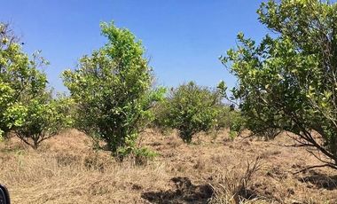 Terreno Campestre en Venta en Montemorelos