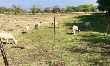 Terreno Campestre en Venta en Montemorelos