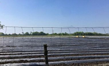 Terreno Campestre en Venta en Montemorelos