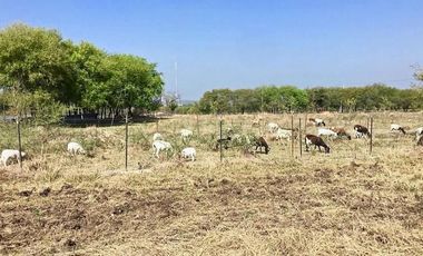 Terreno Campestre en Venta en Montemorelos