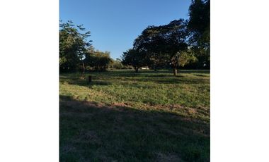 CORONADO / BOULEVARD / FINCA / 6.8 HECTAREAS / 50.00 m2 / DESARROLLO