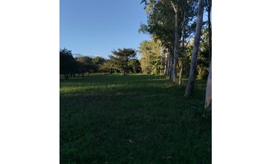 CORONADO / BOULEVARD / FINCA / 6.8 HECTAREAS / 50.00 m2 / DESARROLLO