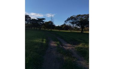 CORONADO / BOULEVARD / FINCA / 6.8 HECTAREAS / 50.00 m2 / DESARROLLO