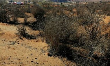 Sitio en Venta en Sector Higueritas Unidas