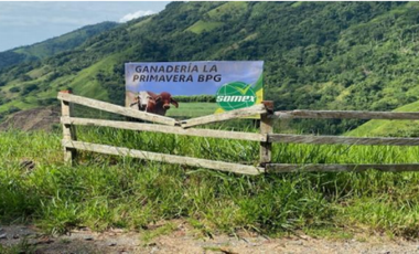 finca en venta en guatape. Cod V16994