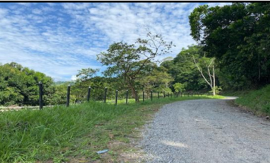 finca en venta en guatape. Cod V16994