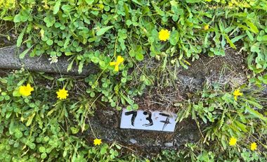 VENTA DEPTO ESTILO MARIPOSA 2D 2B SUBIDA AL VOLCAN