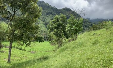 VENTA LOTE JERICO, SUROESTE ANTIOQUEÑO.