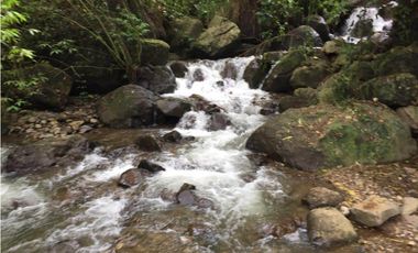 VENTA LOTE JERICO, SUROESTE ANTIOQUEÑO.