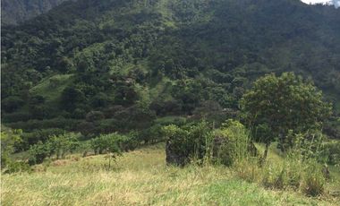 VENTA LOTE JERICO, SUROESTE ANTIOQUEÑO.