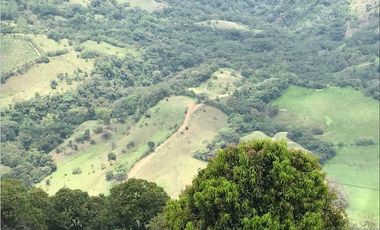 VENTA LOTE JERICO, SUROESTE ANTIOQUEÑO.