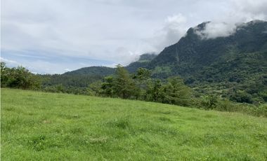 VENTA LOTE JERICO, SUROESTE ANTIOQUEÑO.