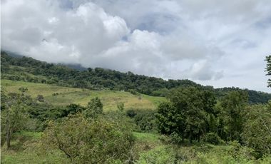 VENTA LOTE JERICO, SUROESTE ANTIOQUEÑO.