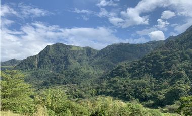 VENTA LOTE JERICO, SUROESTE ANTIOQUEÑO.