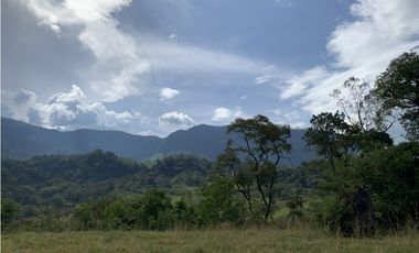 VENTA LOTE JERICO, SUROESTE ANTIOQUEÑO.