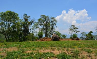VENTA LOTE JERICO, SUROESTE ANTIOQUEÑO.