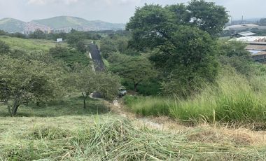 lote en venta en parcelación campestre laguna seca. Cod V107646