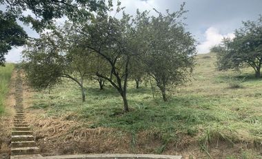 lote en venta en parcelación campestre laguna seca. Cod V107646