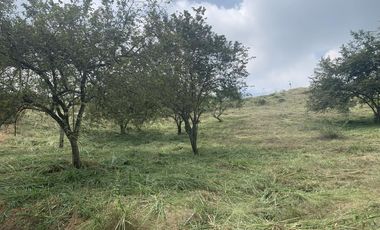 lote en venta en parcelación campestre laguna seca. Cod V107646