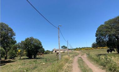 TERRENOS