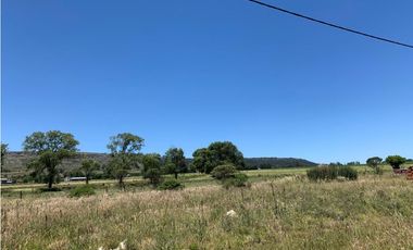 TERRENOS