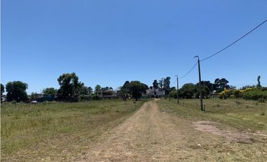 TERRENOS