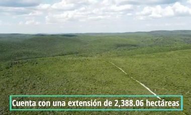 Terreno en venta San Carlos Tamaulipas