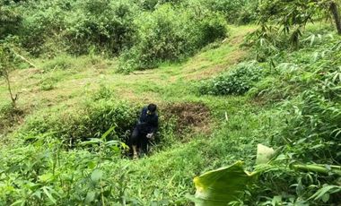 Tanah Murah cikole maribaya Lembang Subang Strategis dkt Sagalaherang