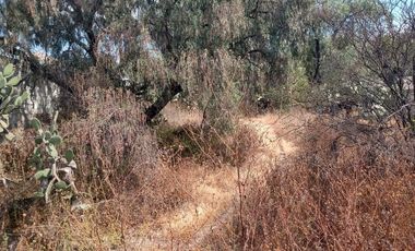 Terreno en venta en el Barrio Conejos, Municipio de Atotonilco, Hidalgo