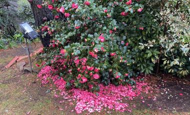 EXCELENTE CHALET EN &quotSIERRA DE LOS PADRES&quot