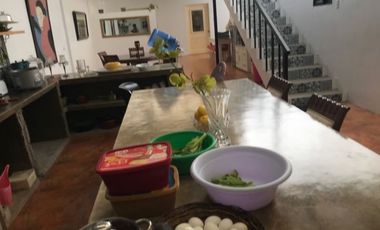 HOUSE AND LOT FOR SALE FOR COMMERCIAL PURPOSES ID 14644