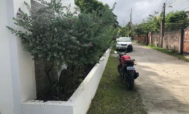 HOUSE AND LOT FOR SALE FOR COMMERCIAL PURPOSES ID 14644