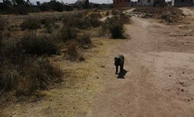 GRAN OPORTUNIDAD, TERRENO EN VENTA